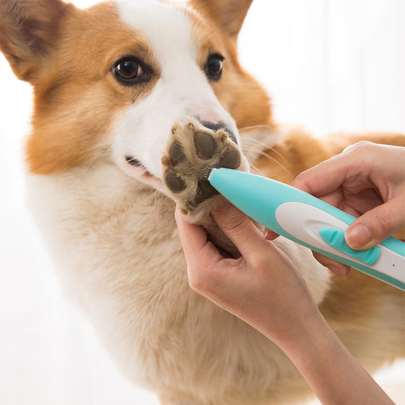 Pet Dog Hair Clipper Dogs Foot Hairs Trimmer Grooming Electrical Hair Clipper - by Famigift