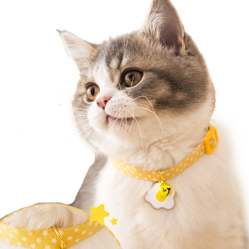 Pet Collar Daisy Cat Neck Jewelry Bell - Average size can be adjusted (17-33cm - by Famigift