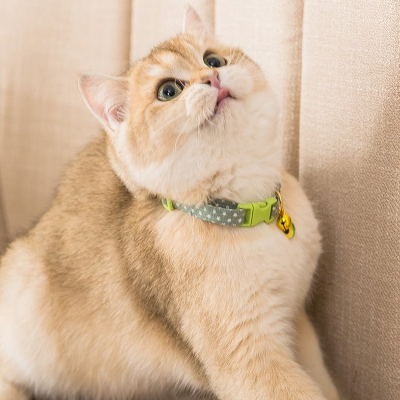 Pet Collar Daisy Cat Neck Jewelry Bell - by Famigift