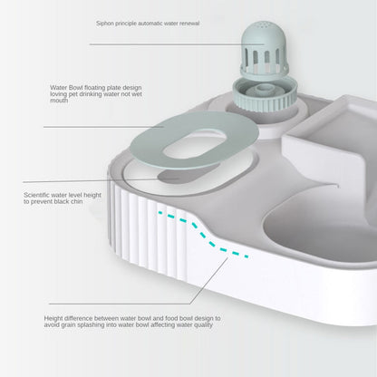 Pet Cat Bowl Feeder Bowls Kitten Automatic Food Drinking Fountain 3L - 2021-3L-apink - by Famigift