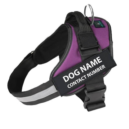 Reflective No-Pull Dog Harness - Blue - by Famigift