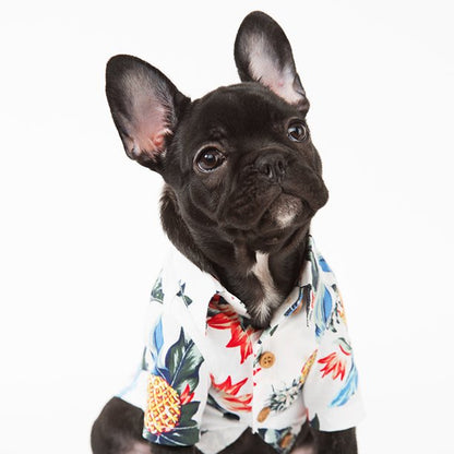 Fami Petcare Tropical Shirts - White - by Famigift