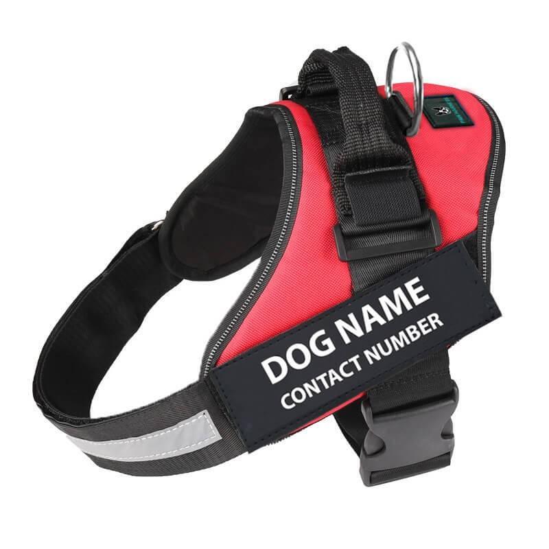 Reflective No-Pull Dog Harness - Blue - by Famigift