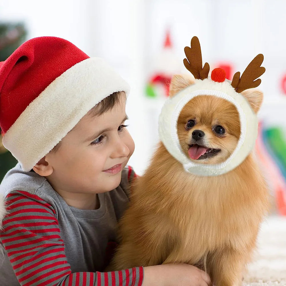 PetCare Christmas Hat for Pets - Red - by Famigift