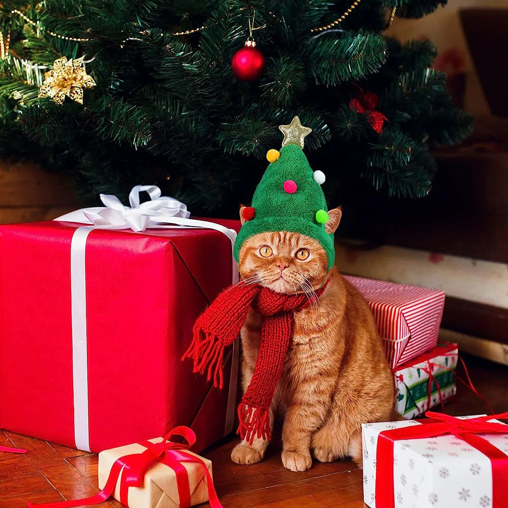 PetCare Christmas Hat for Pets - Green - by Famigift