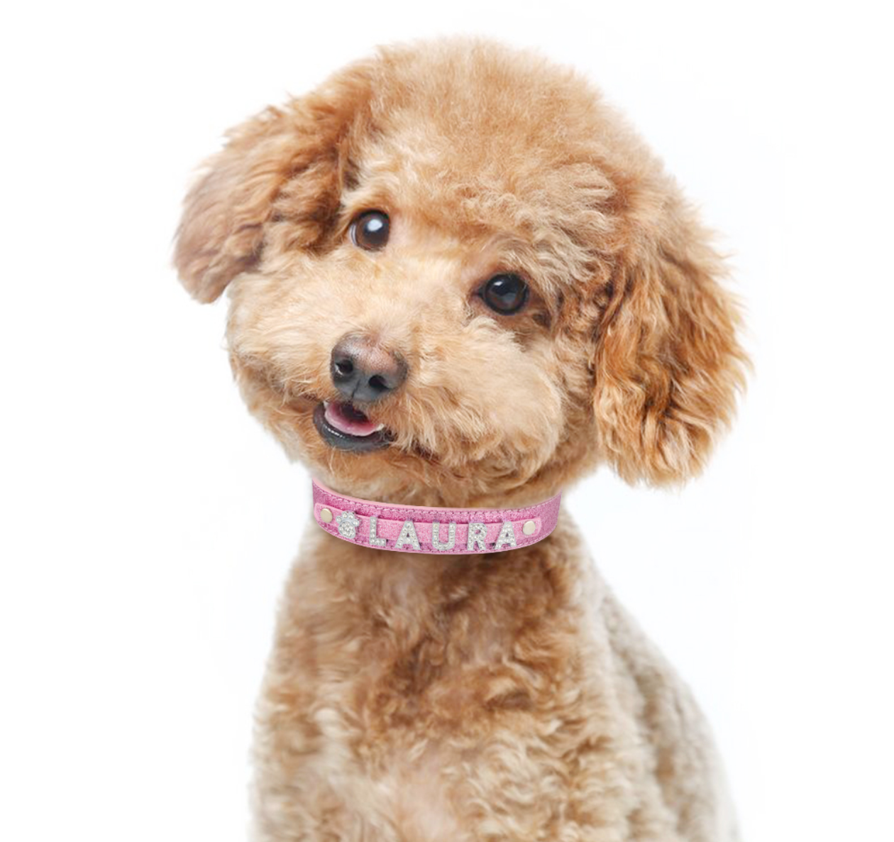 Fami Petcare Personalized Bling Collar - Red - by Famigift