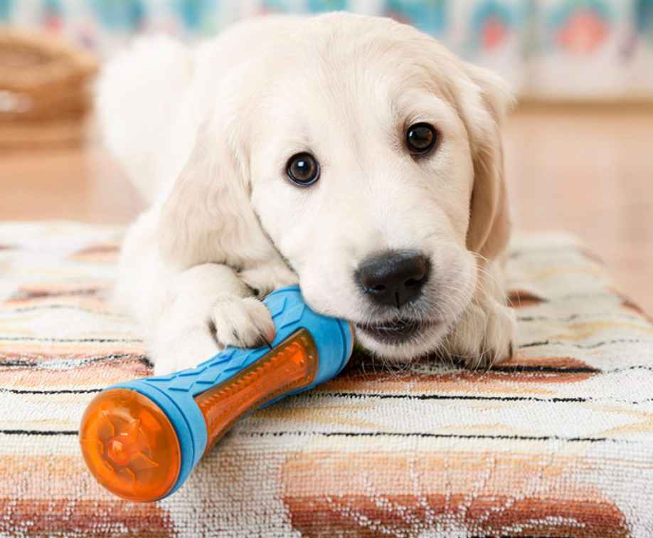 Fami Petcare Interactive Toys - Ball - by Famigift