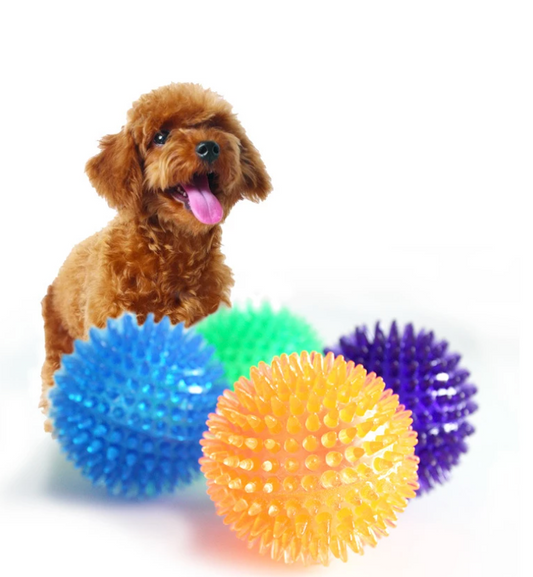 Fami Petcare Spiky Squeaker Ball - Orange - by Famigift