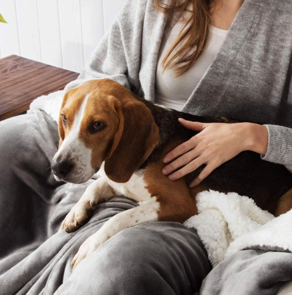 Fami Petcare Waterproof Dog Blanket - Black - by Famigift