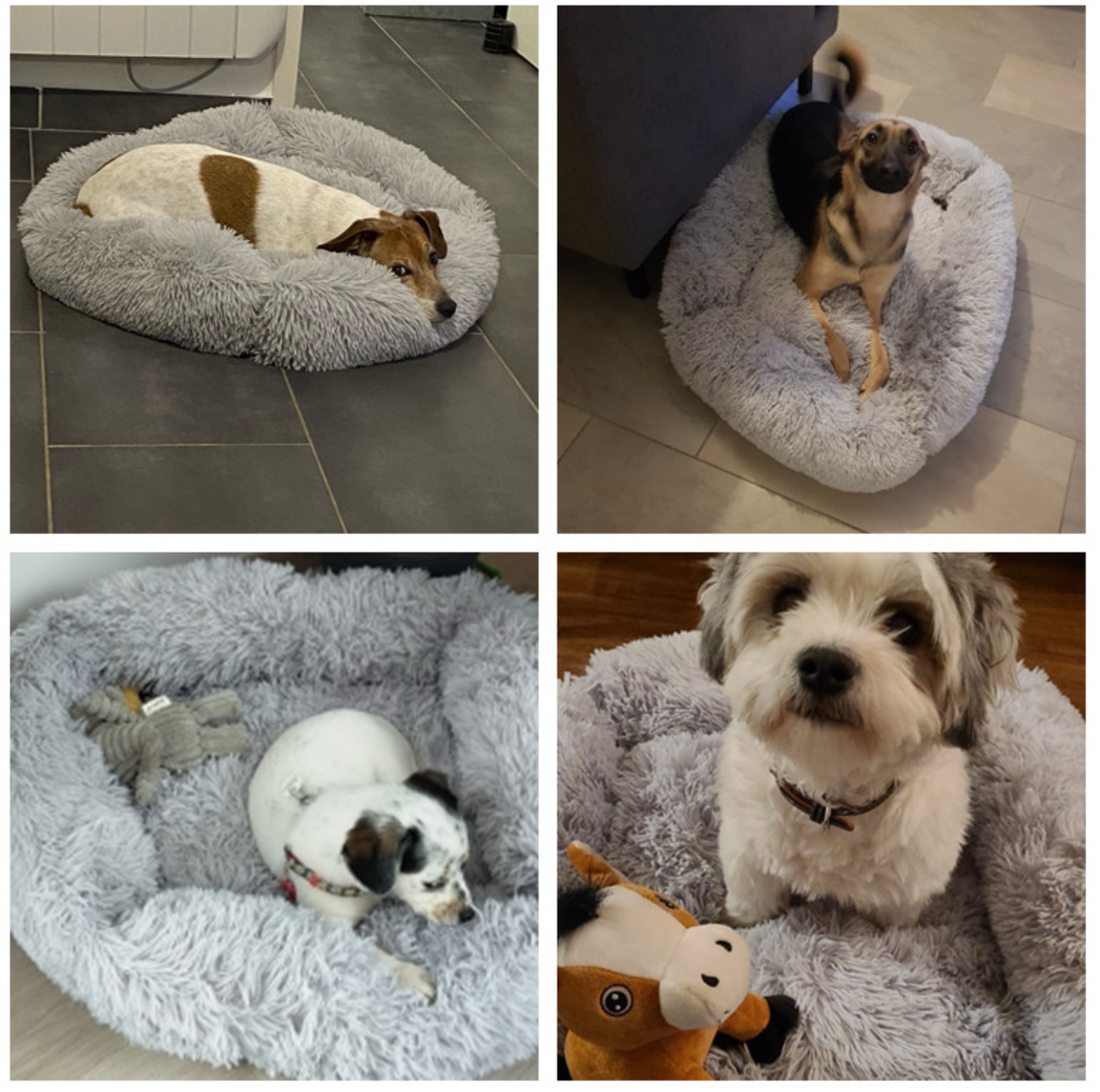 Fami Petcare Plush Bed - Light Blue - by Famigift