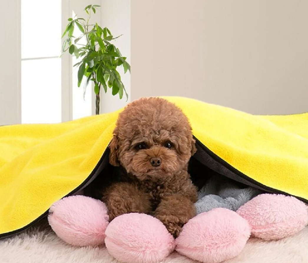 Fami Petcare Quick Dry Towel - Extra Large (55.11" x 27.55" - by Famigift