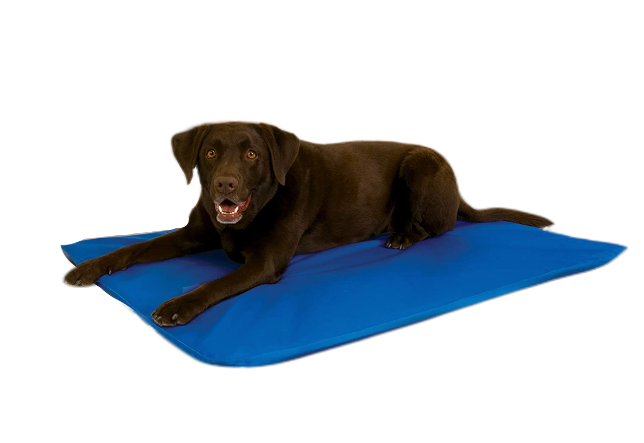 Fami Petcare Cooling Gel Pad - Blue - by Famigift