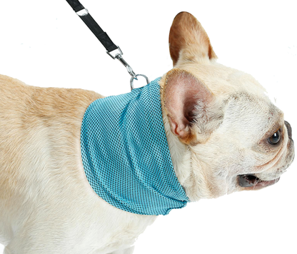 Fami Petcare Cooling Neck Wrap - Small 13.77" - 15.74" Neck - by Famigift