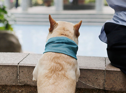 Fami Petcare Cooling Neck Wrap - Large 17.71" - 19.68" Neck - by Famigift