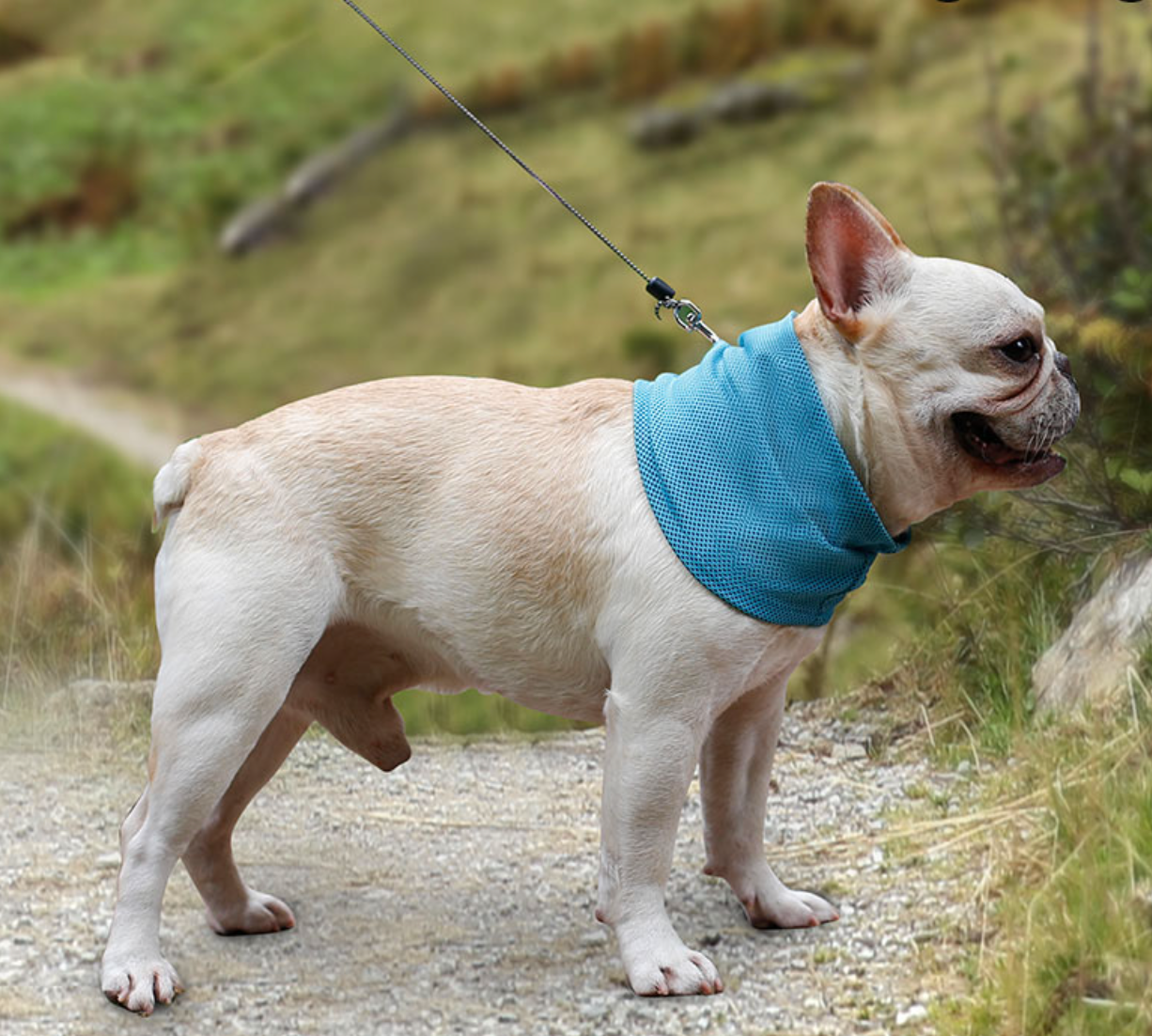 Fami Petcare Cooling Neck Wrap - by Famigift