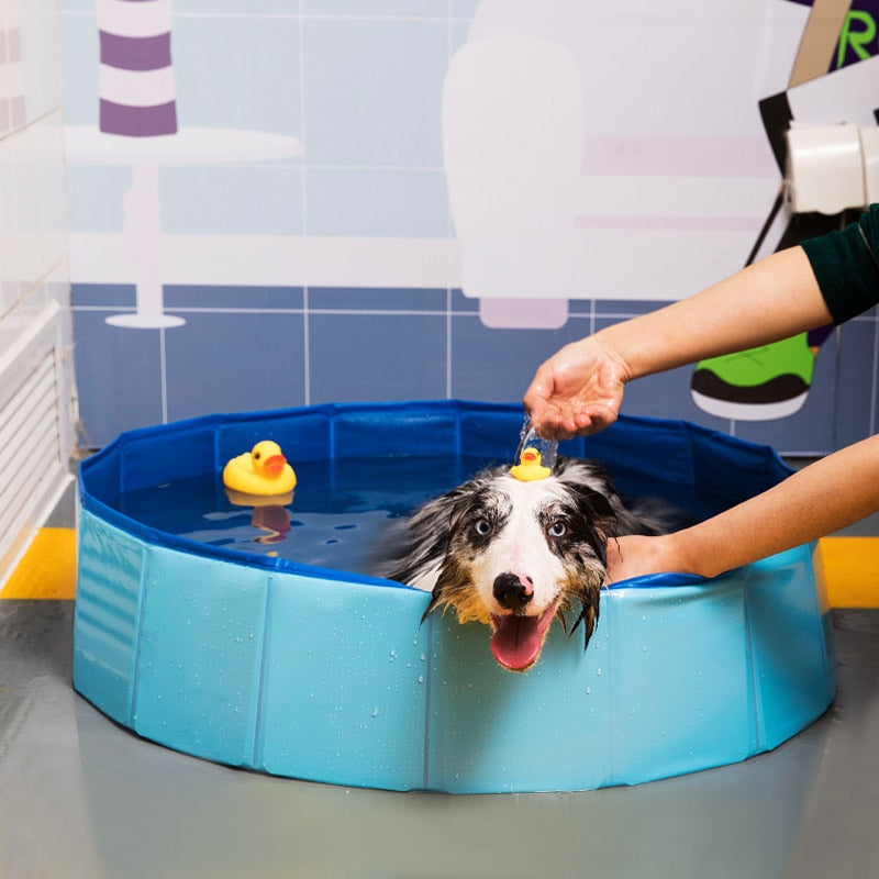 Foldable Dog Bath Pool By Fami Petcare - M - by Famigift