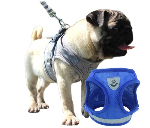 Dog Fami With Leash - Gray - by Famigift
