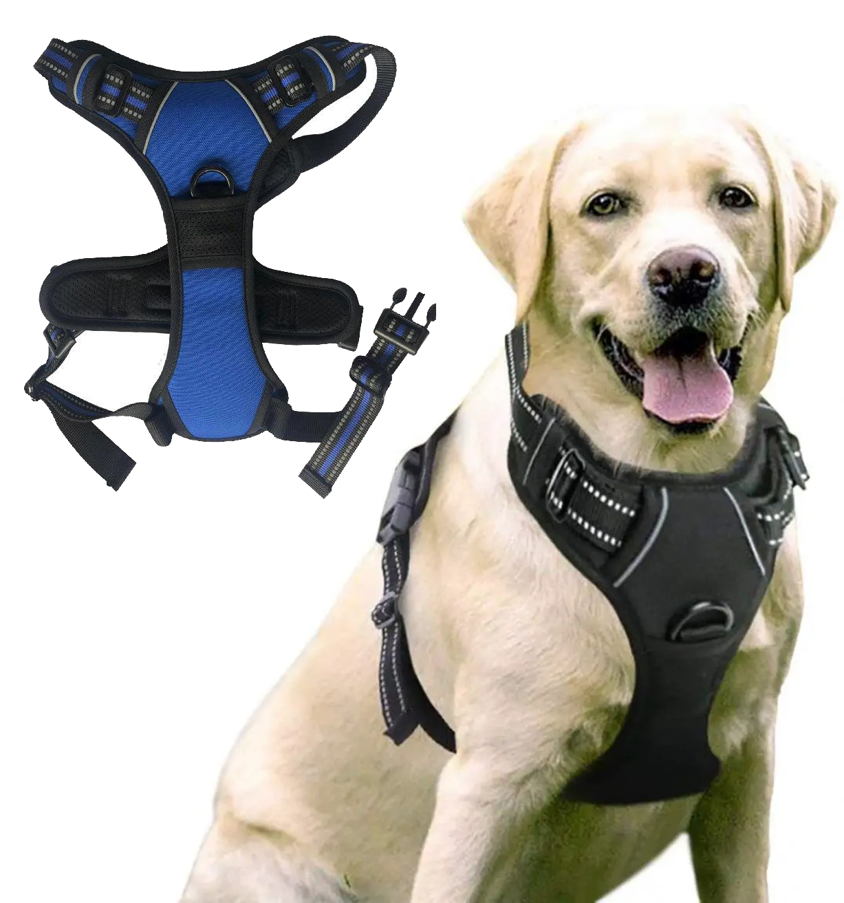 Y-shape Dog - Blue - by Famigift