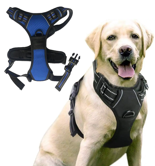 Y-shape Dog - Blue - by Famigift