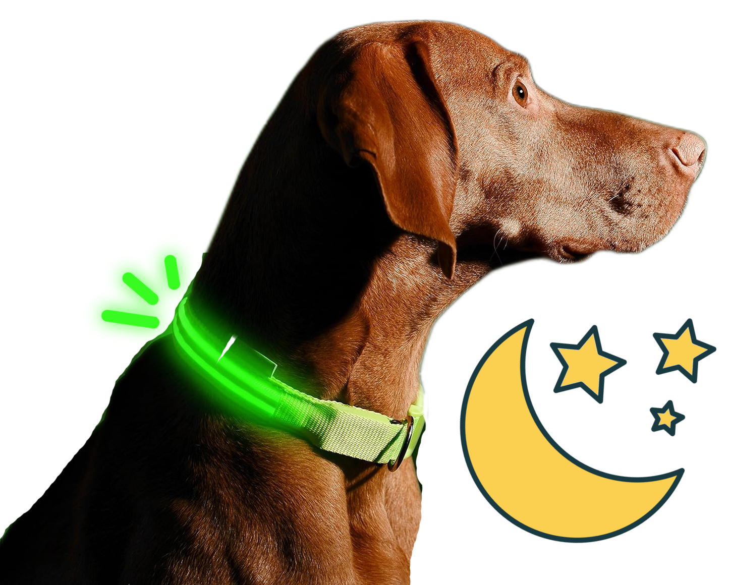 Dog Glowing Collar By Fami Petcare - Red - by Famigift