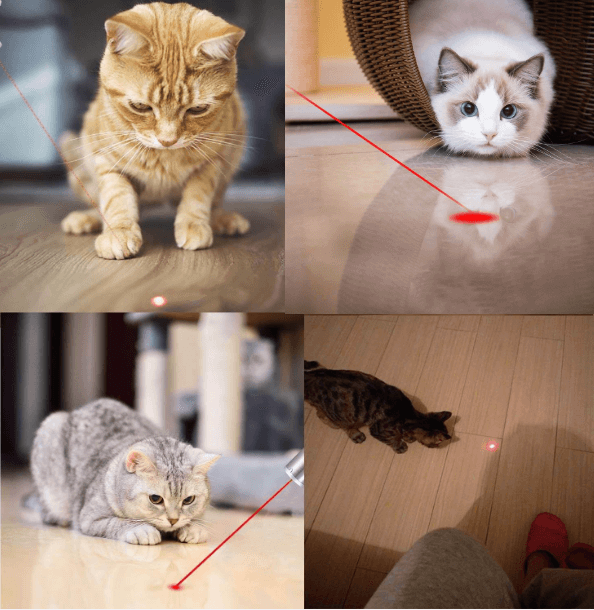 Rechargeable Cat Laser Pointer 3 in 1 Cat Toy Red Laser Pointer - by Famigift