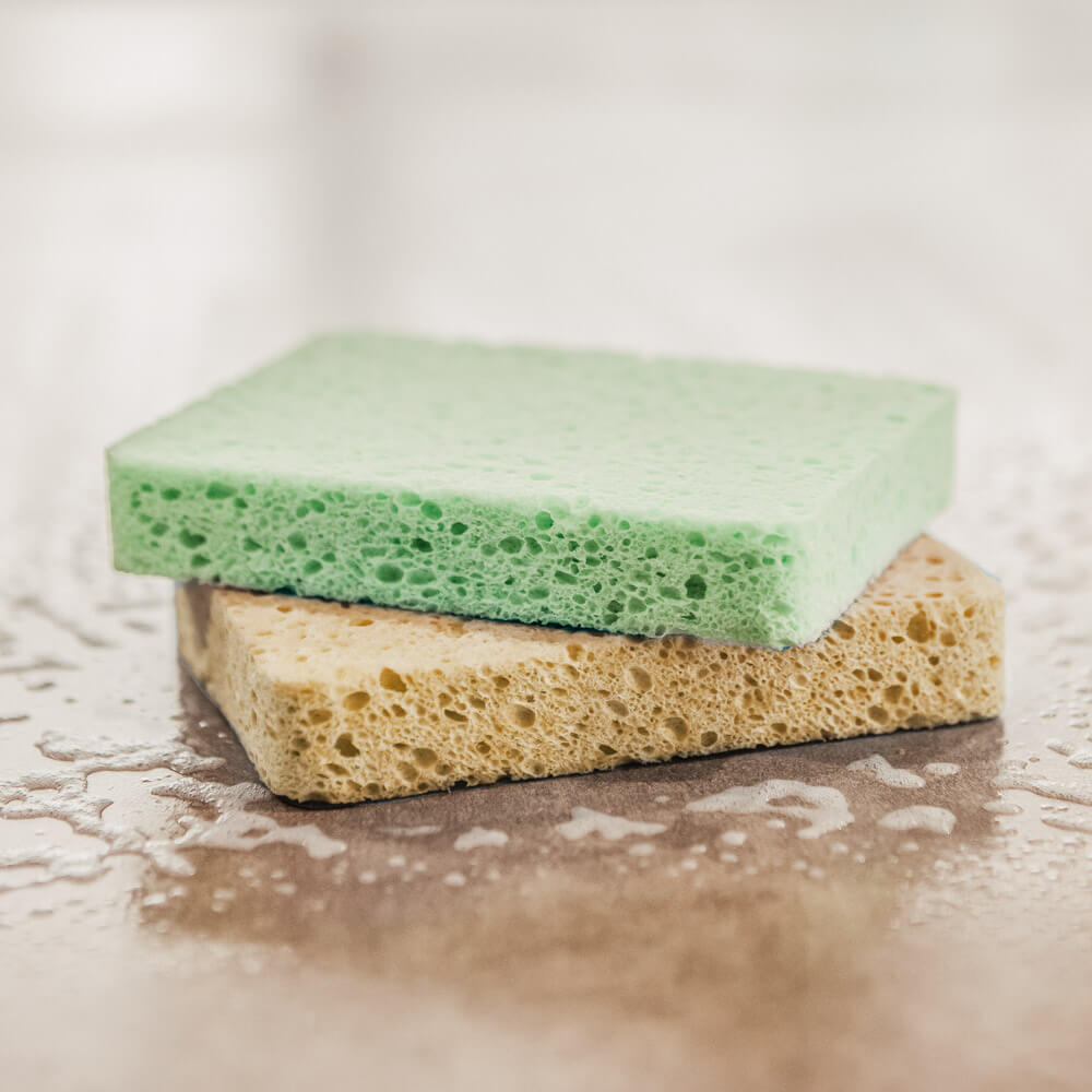 Kitchen 100% Cellulose Sponges - 2 Pack - by Famigift