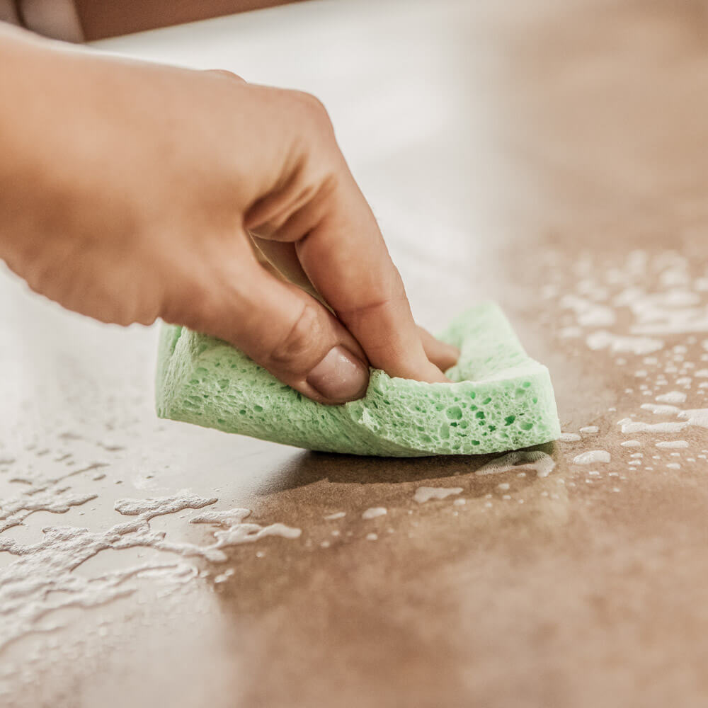 Kitchen 100% Cellulose Sponges - 2 Pack - by Famigift