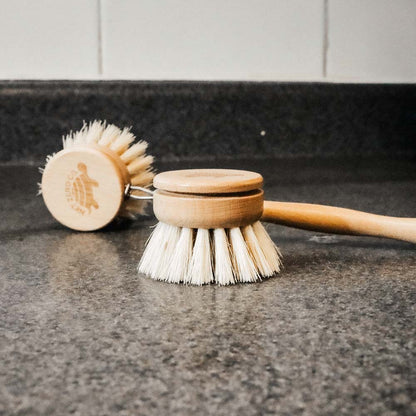 Plant Based Dish Brush Replacement Head - by Famigift