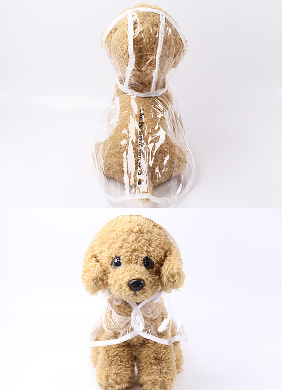 PetCare Transparent Raincoat for Dogs - White - by Famigift