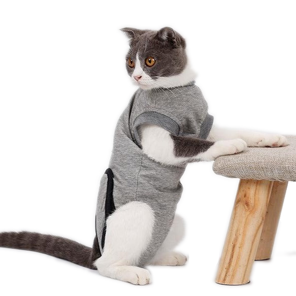 Cats Recover Suit Clothes after Sterilization - grey - by Famigift