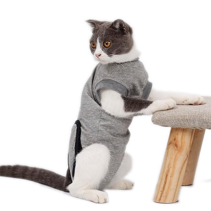 Cats Recover Suit Clothes after Sterilization - grey - by Famigift