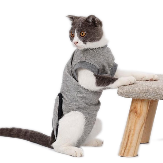 Cats Recover Suit Clothes after Sterilization - grey - by Famigift