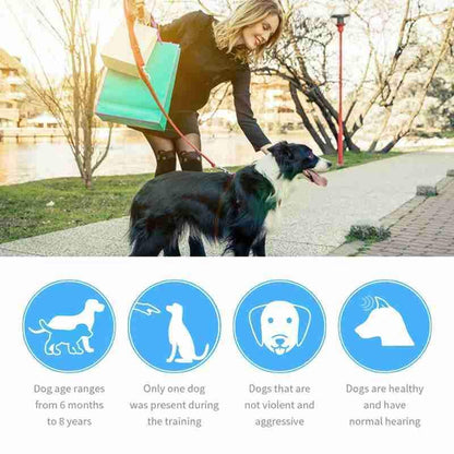 Portable Handheld Ultrasonic Anti-Barking Solution - by Famigift