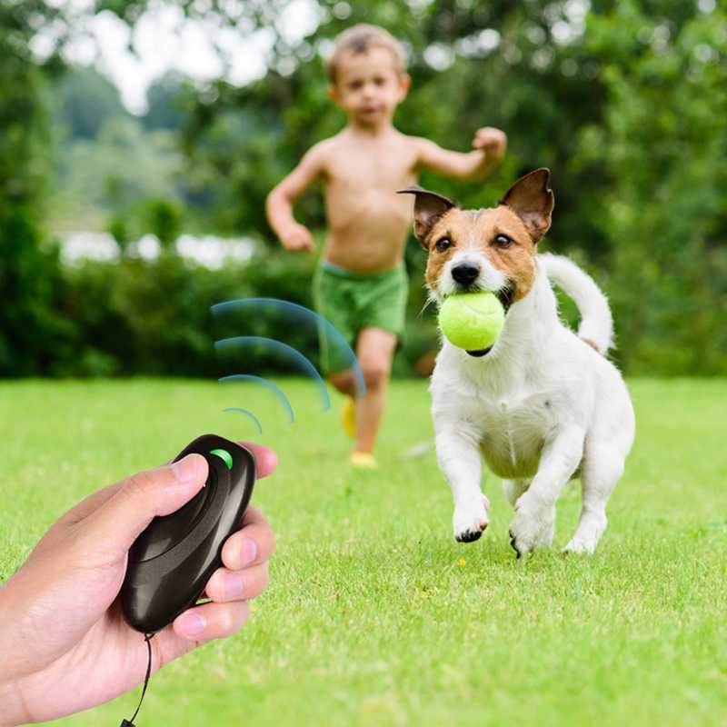 Portable Handheld Ultrasonic Anti-Barking Solution - by Famigift