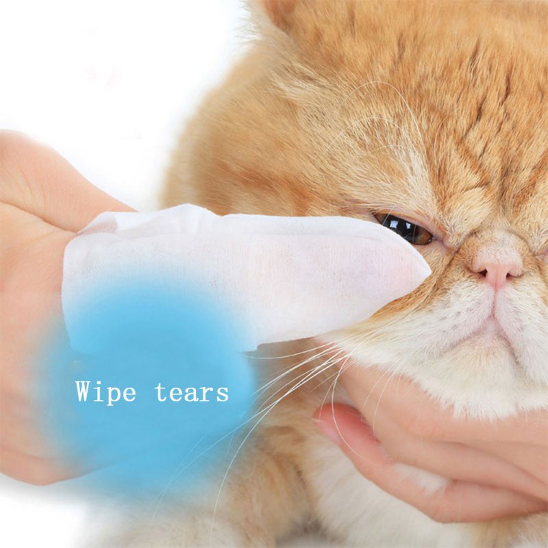 Pet Grooming Wipes for Dogs & Cats - by Famigift