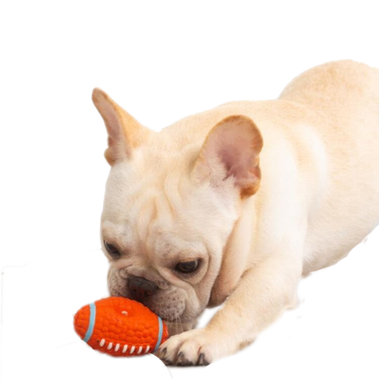 Pet Dogs Toys Sounding Chewing Squeaky Toy for Dogs - tennis - by Famigift