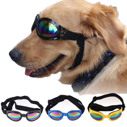 Fami Petcare 100% UV Protection Goggles - Blue - by Famigift