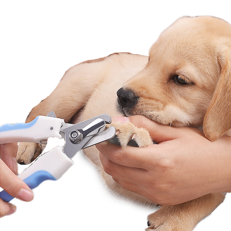 Fami Petcare Nail Clippers - Blue - by Famigift