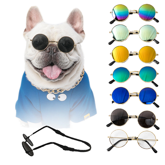 Fami Petcare Retro Glasses - Purple - by Famigift