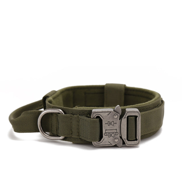 Fami Petcare Heavy Duty Collar & Bungee Leash - Green Collar - by Famigift