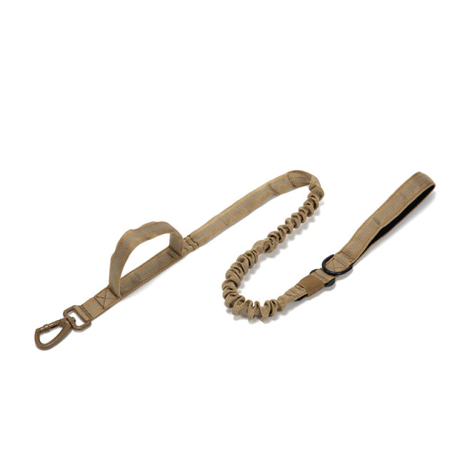 Fami Petcare Heavy Duty Collar & Bungee Leash - Khaki Collar - by Famigift