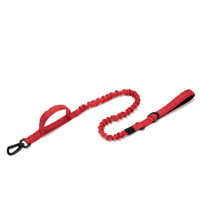 Fami Petcare Heavy Duty Collar & Bungee Leash - Red Collar - by Famigift