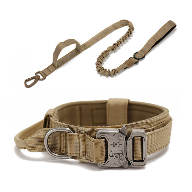 Fami Petcare Heavy Duty Collar & Bungee Leash - Khaki Collar - by Famigift