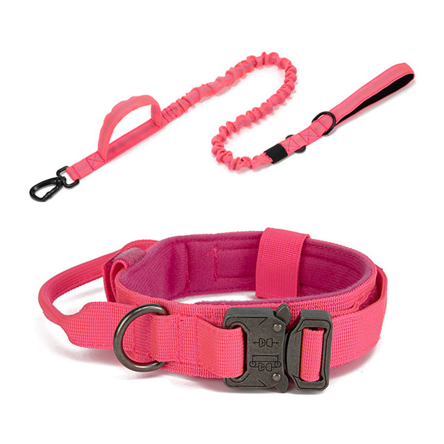 Fami Petcare Heavy Duty Collar & Bungee Leash - Black Collar - by Famigift