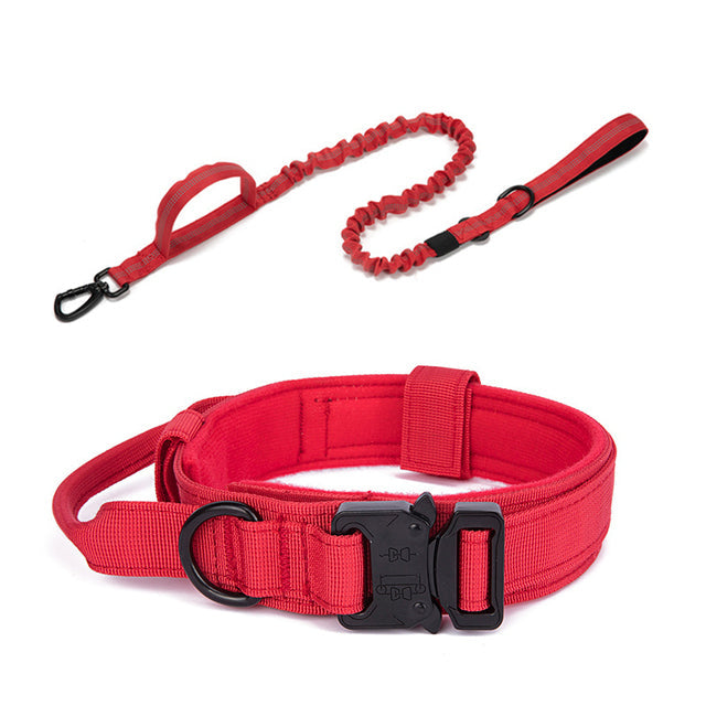 Fami Petcare Heavy Duty Collar & Bungee Leash - Black Collar - by Famigift