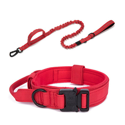 Fami Petcare Heavy Duty Collar & Bungee Leash - Black Collar - by Famigift
