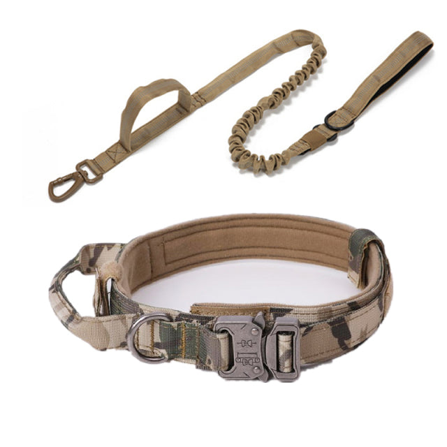 Fami Petcare Heavy Duty Collar & Bungee Leash - Khaki Collar - by Famigift