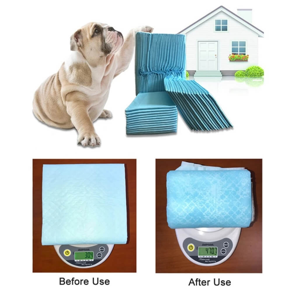 Pet Training and Puppy Pad, Heavy Duty With Super Absorbent & Disposable Diaper For Dogs - L(40PCS(60x60cm/24x24'' - by Famigift